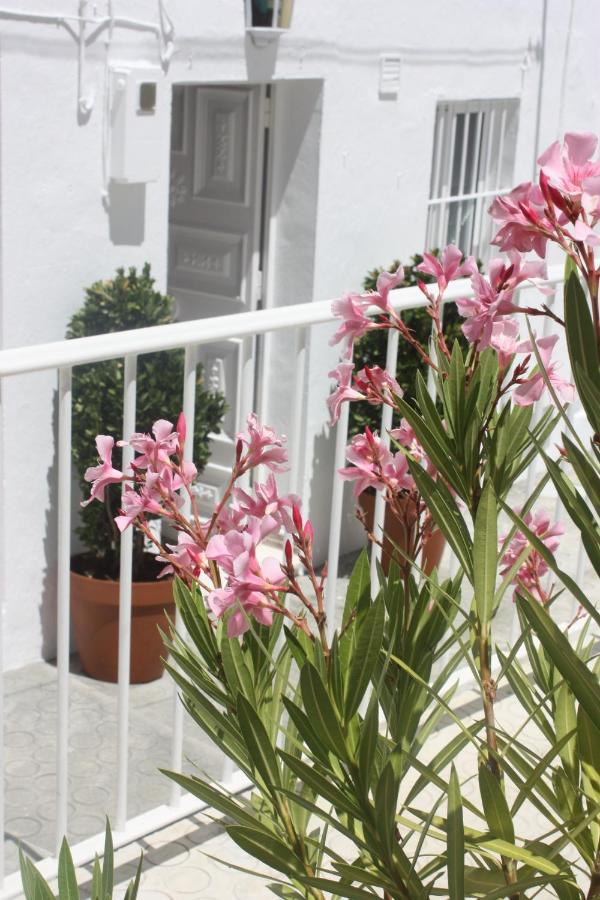 La Moradita Vejer de la Frontera Exterior photo